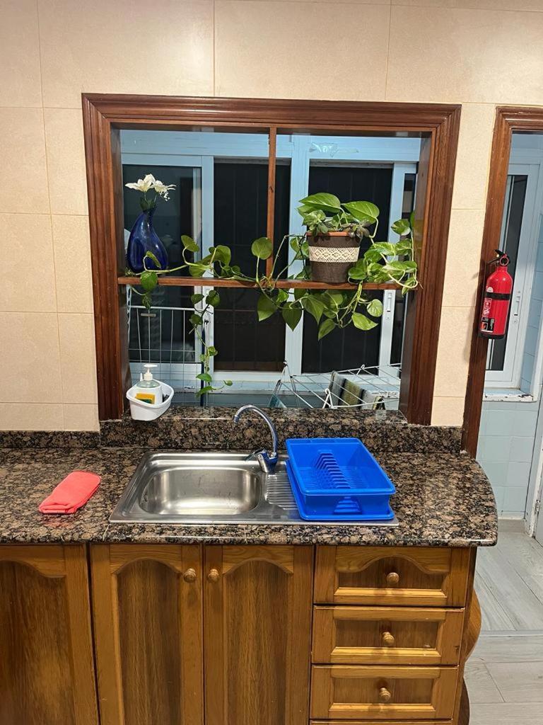 Apartamento Completo, Mascotas Aceptadas 阿勒纳勒斯德尔索尔 外观 照片